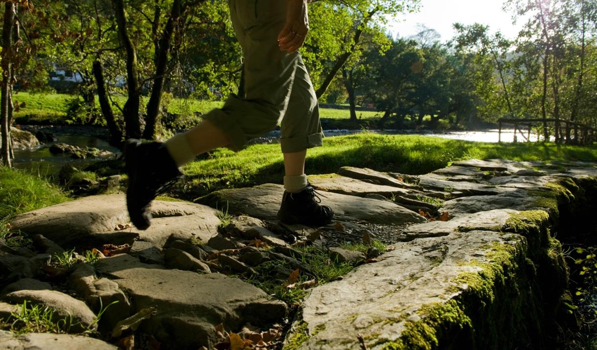 Person walking on riverside path