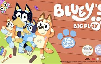 Bluey's Big Play
