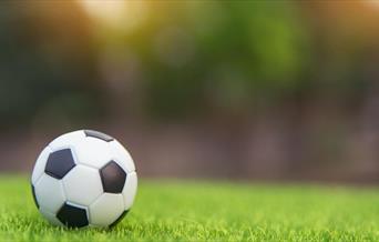 Football sitting on the grass