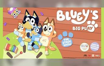 Bluey's Big Play