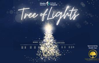 St David's Hospice Tree of Lights - Rhos on Sea