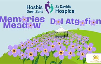 Memories Meadow / Dol Atgofion