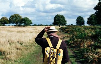 Man walking in the countryside