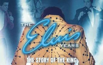 The Elvis Years
