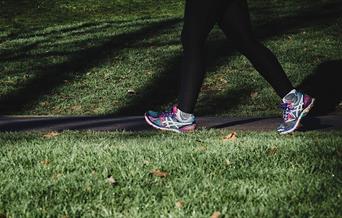Person walking through a park
