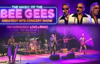 The Magic of the Bee Gees