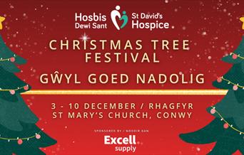 St David's Hospice Christmas Tree Festival
