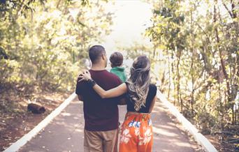 Young family walking in a light forest and carrying their toddler