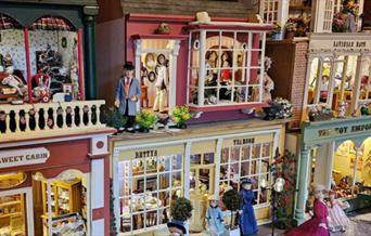 Discover a Miniature World! Lunchtime Talk with Sue Evans