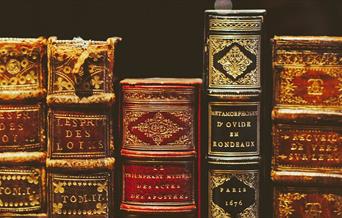 Collection of old historic books