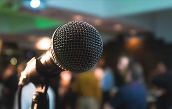 Microphone in a microphone stand