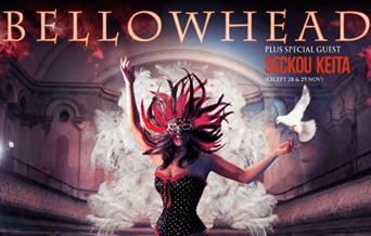Bellowhead plus support