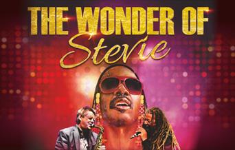 The Wonder of Stevie