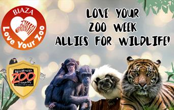 Love Your Zoo Week: Allies for Wildlife