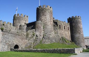 Curious About Conwy