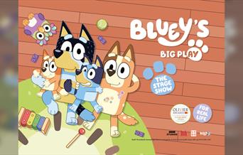 Bluey's Big Play