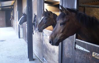 Aberconwy Equestrian Centre