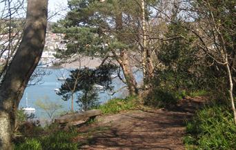 Bodlondeb Woods Local Nature Reserve