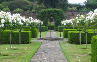Garden Tour - 'Roses in Full Bloom' at Bodysgallen Hall & Spa