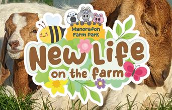 New Life on The Farm