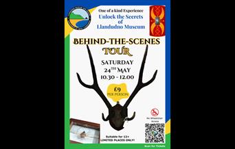 Behind-The-Scenes Tour