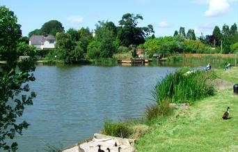 Fishing lake at Conwy Water Gardens