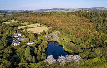 Golygfa aeriel o'r llyn pysgota