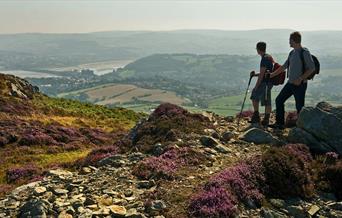 Cerdded ar Mynydd y Dref, yn edrych tuag at dref Conwy