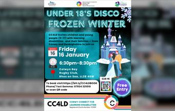 Under 18's Disco - Frozen Winter