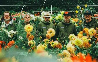 Super Furry Animals
