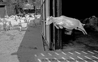 30 Mile Radius - David Hurn yn Oriel Colwyn