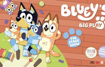 Bluey's Big Play