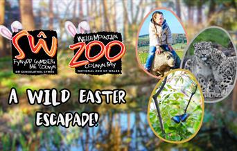A Wild Easter Escapade! At The Welsh Mountain Zoo