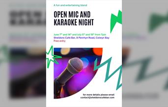 Open mic and Karaoke night