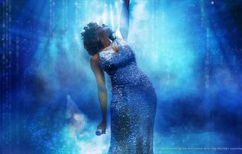 Whitney: Queen of the Night
