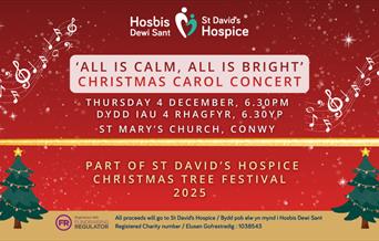 St David's Hospice Carol Concert
