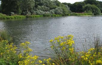 Parc Pentre Mawr