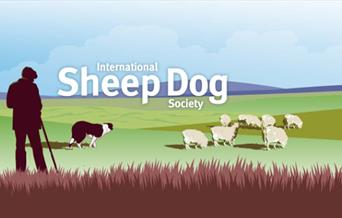 2025 Welsh National Sheepdog Trials, Trofarth