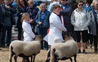 Llanrwst Rural Show