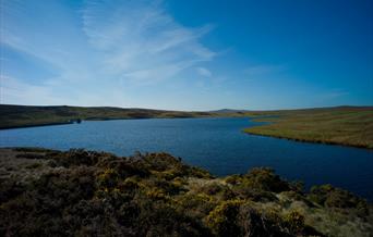 Pysgota bras yn Llyn Aled