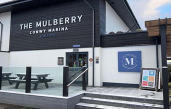 The Mulberry