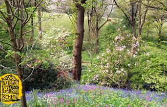 National Garden Scheme: Maenan Hall