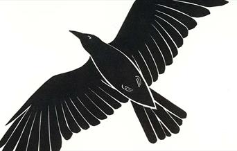 Hedfanol Contemporary Original Prints of Birds and Other Winged Creatures at Royal Cambrian Academy, Conwy