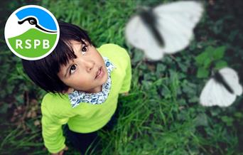 Wild Wednesday Walks - Brilliant Butterflies! At RSPB Conwy