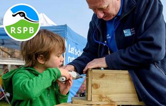 Build your own nest box at RSPB Conwy