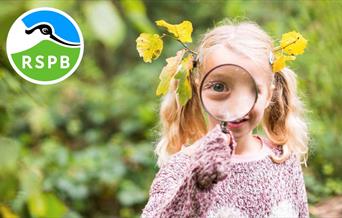 Wildlife Explorers Club (8-12 years) at RSPB Conwy