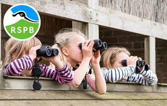 Young Birder Walk at RSPB Conwy