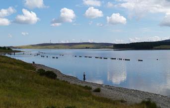 Dynion yn pysgota ar lan Llyn Brenig