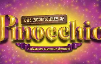 Pinocchio yn Theatr Colwyn