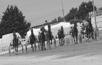 Harness racing at Tir Prince